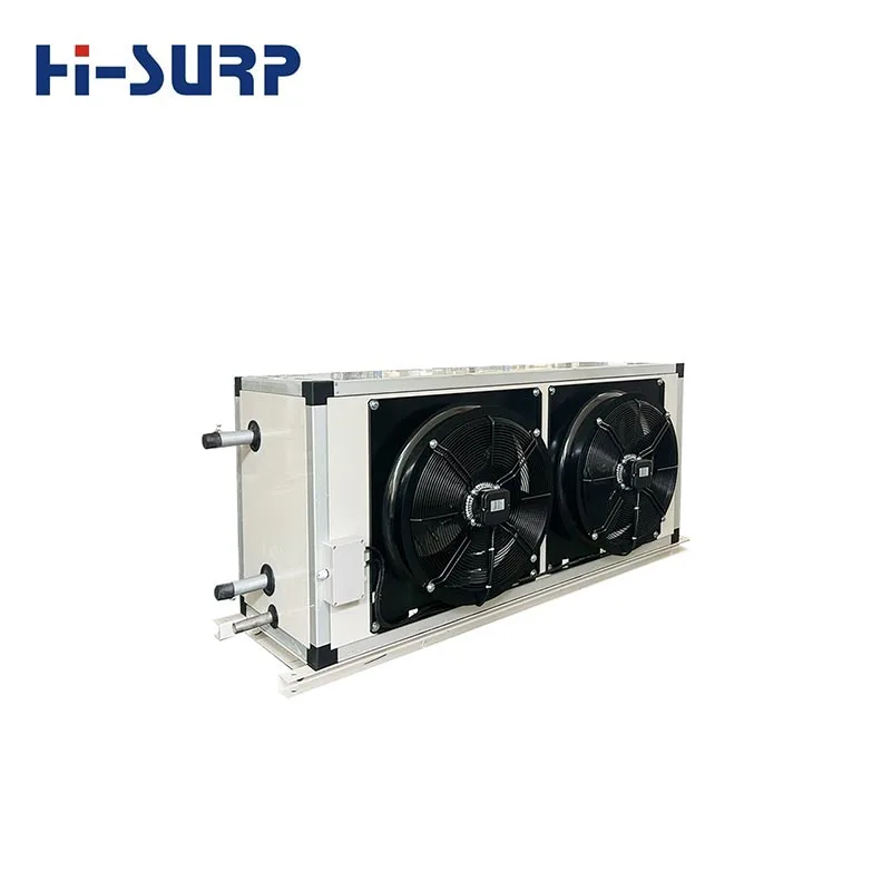 Air Conditioner sa Flower Room