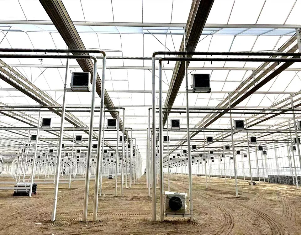 Greenhouse ng mga Gulay
